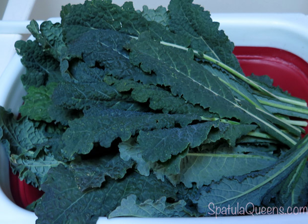 Quick Kale Salad - Dinosaur Kale, fresh from the garden